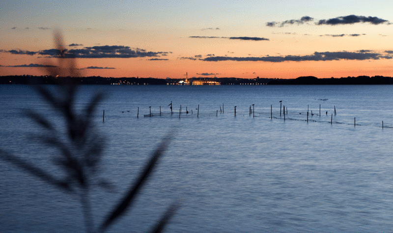 benniksgaard hotel flensborg fjord **** laeserrejser nyhedsbrev benniksgaard hotel flensborg fjord **** laeserrejser nyhedsbrev