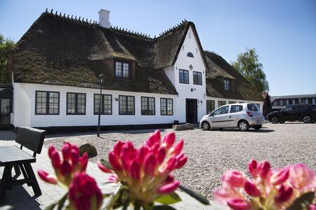 Single dinner flensburg